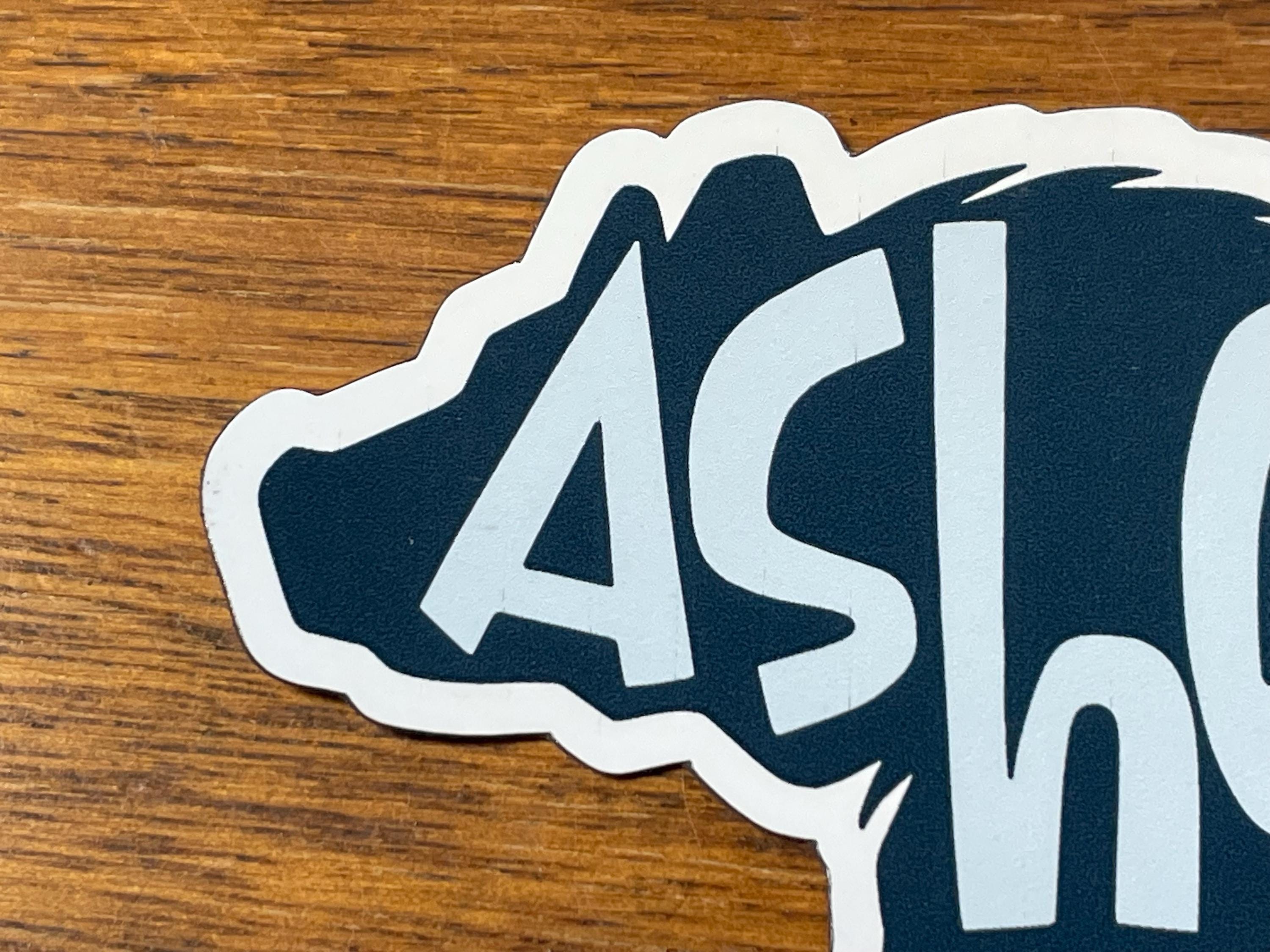 Asheville Bear THIN MAGNET | Decorative Travel Magnet | Vinyl